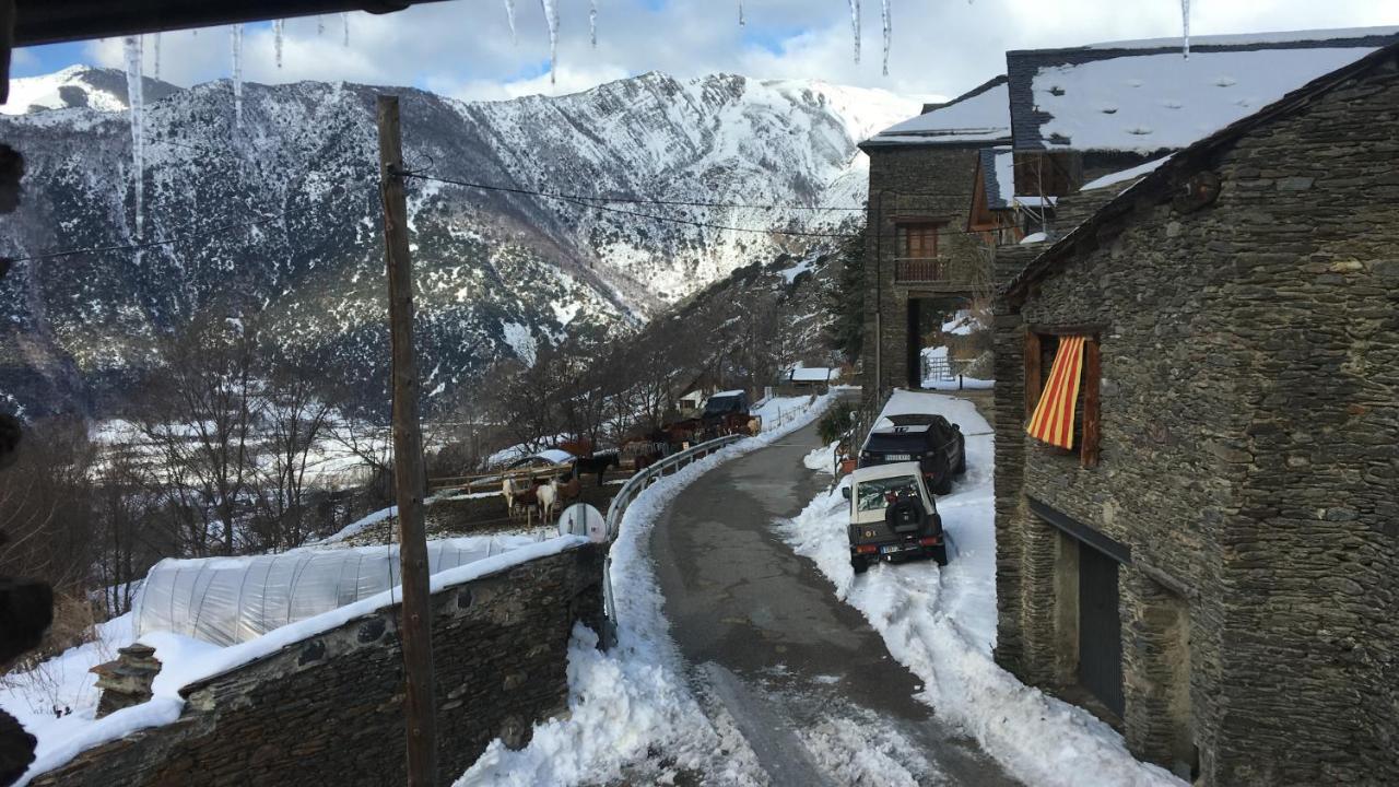 Casa Pirineu * Esterri de Cardos