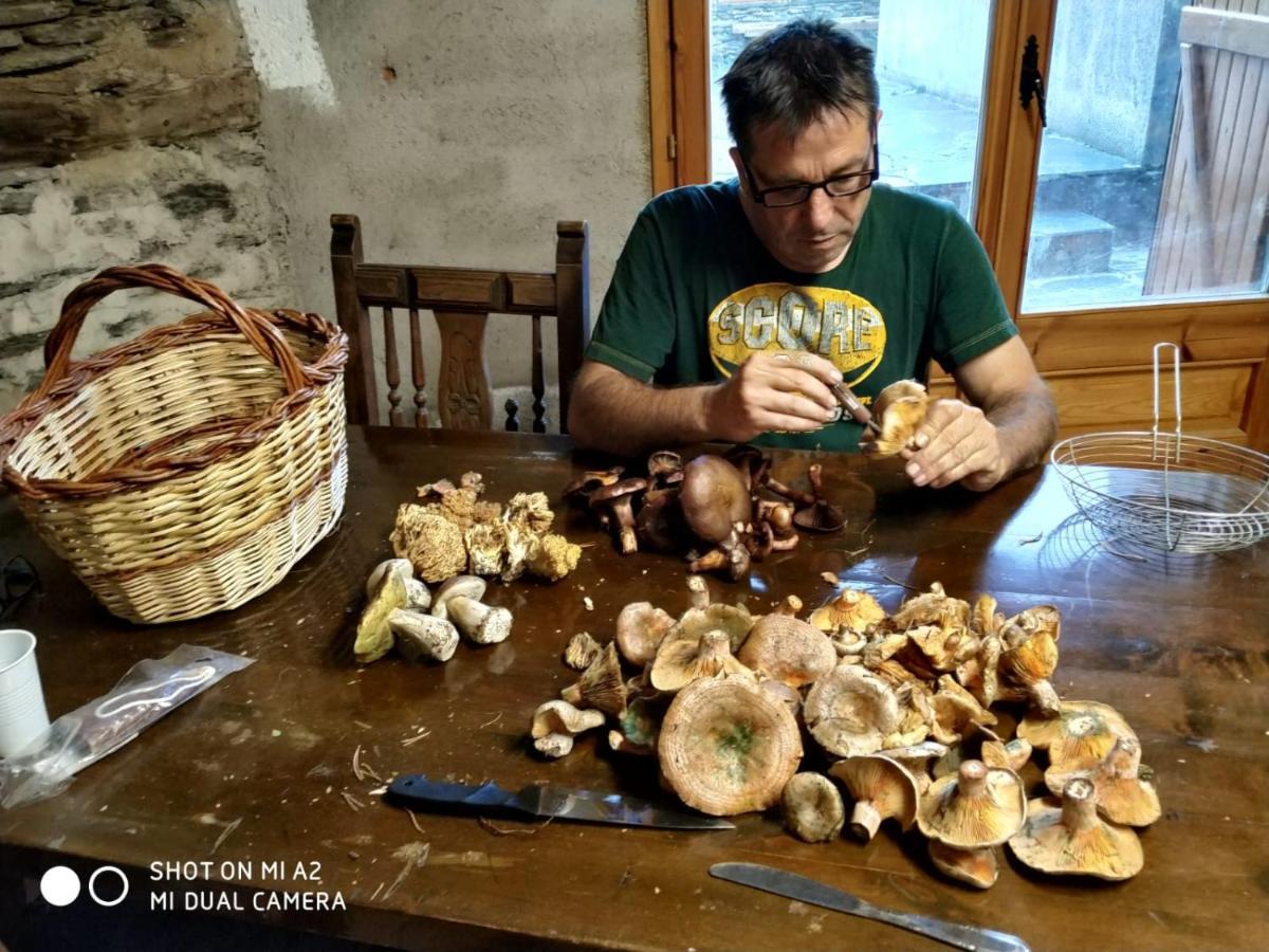Holiday home Casa Pirineu *